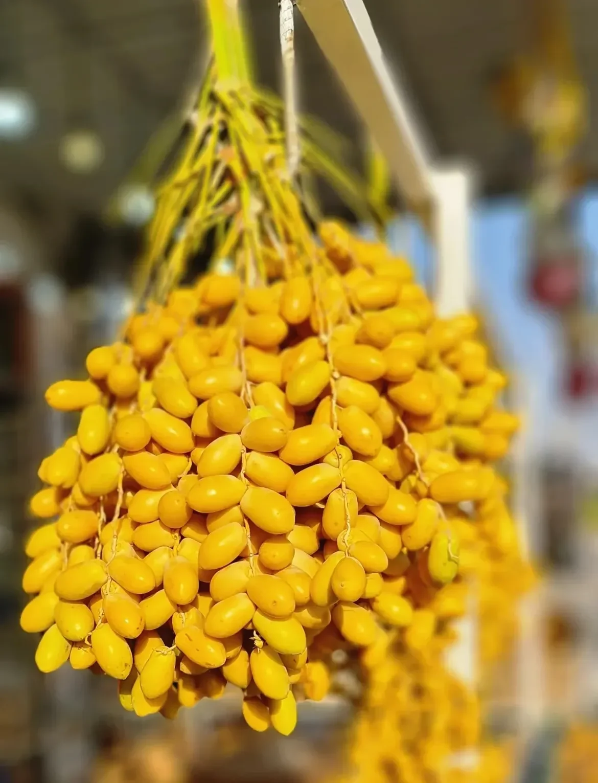 fresh yellow Kharak का गुच्छा