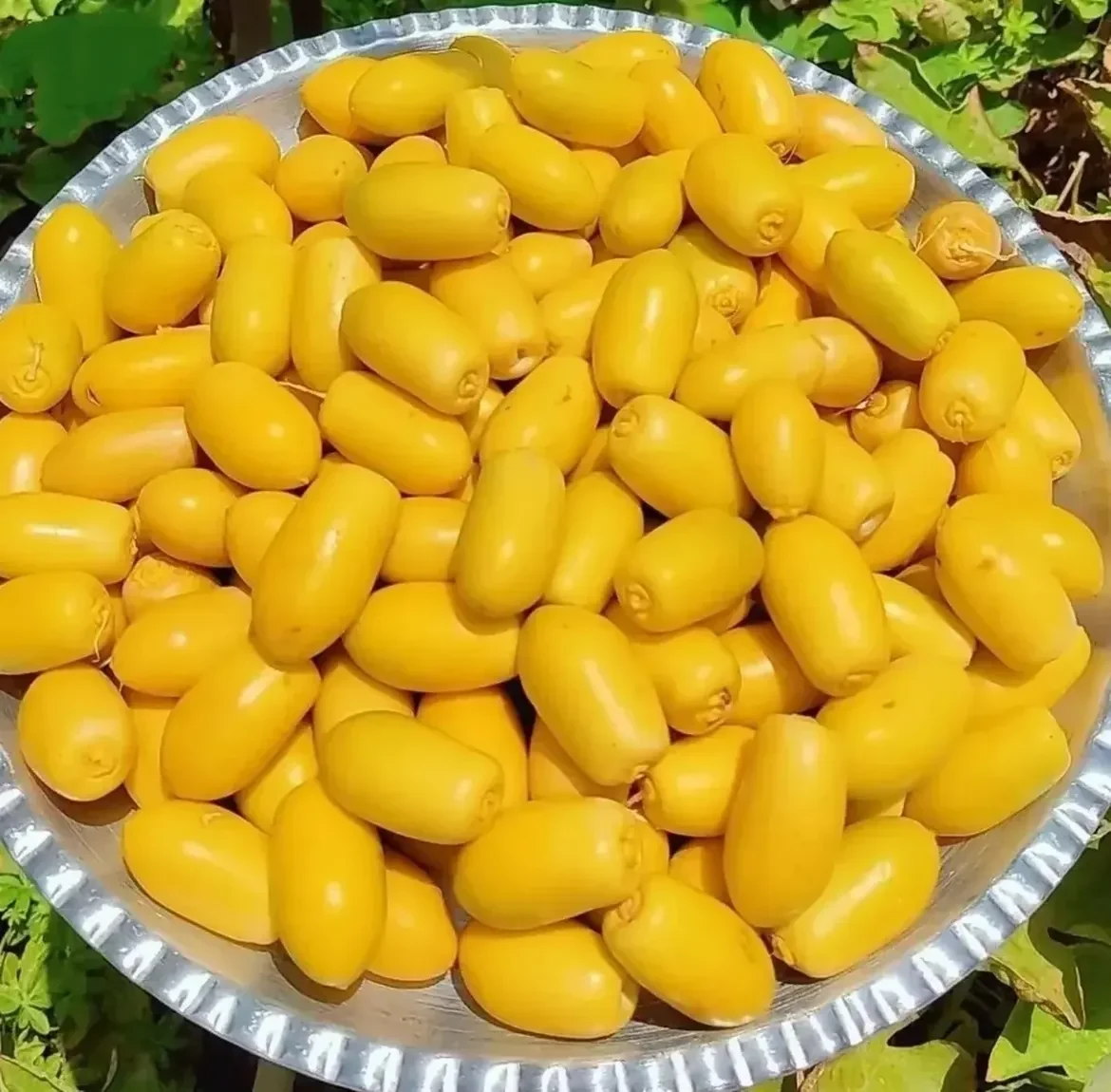 fresh yellow Kharak से भरी tray